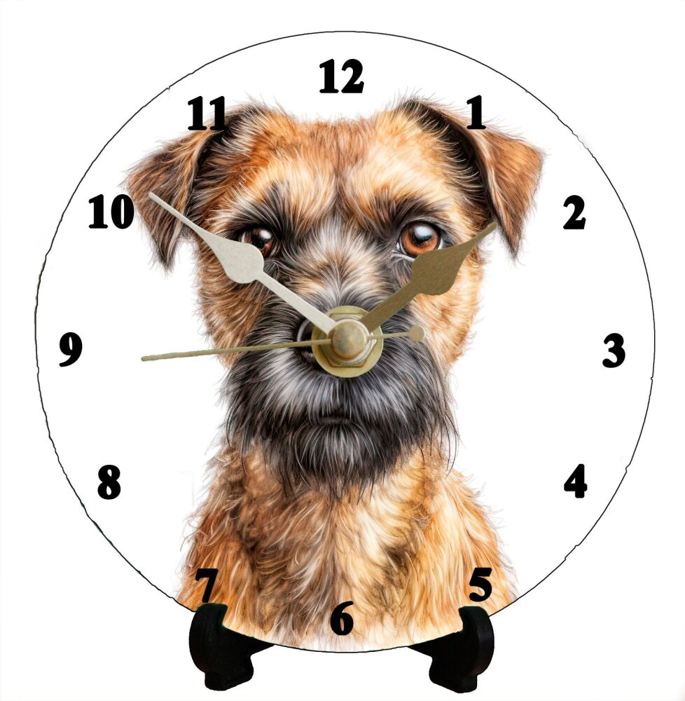Border Terrier (2)