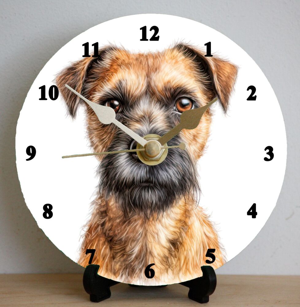 Border Terrier (2)