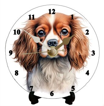 Cavalier King Charles Spaniel (2)
