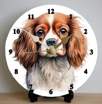 Cavalier King Charles Spaniel (2)
