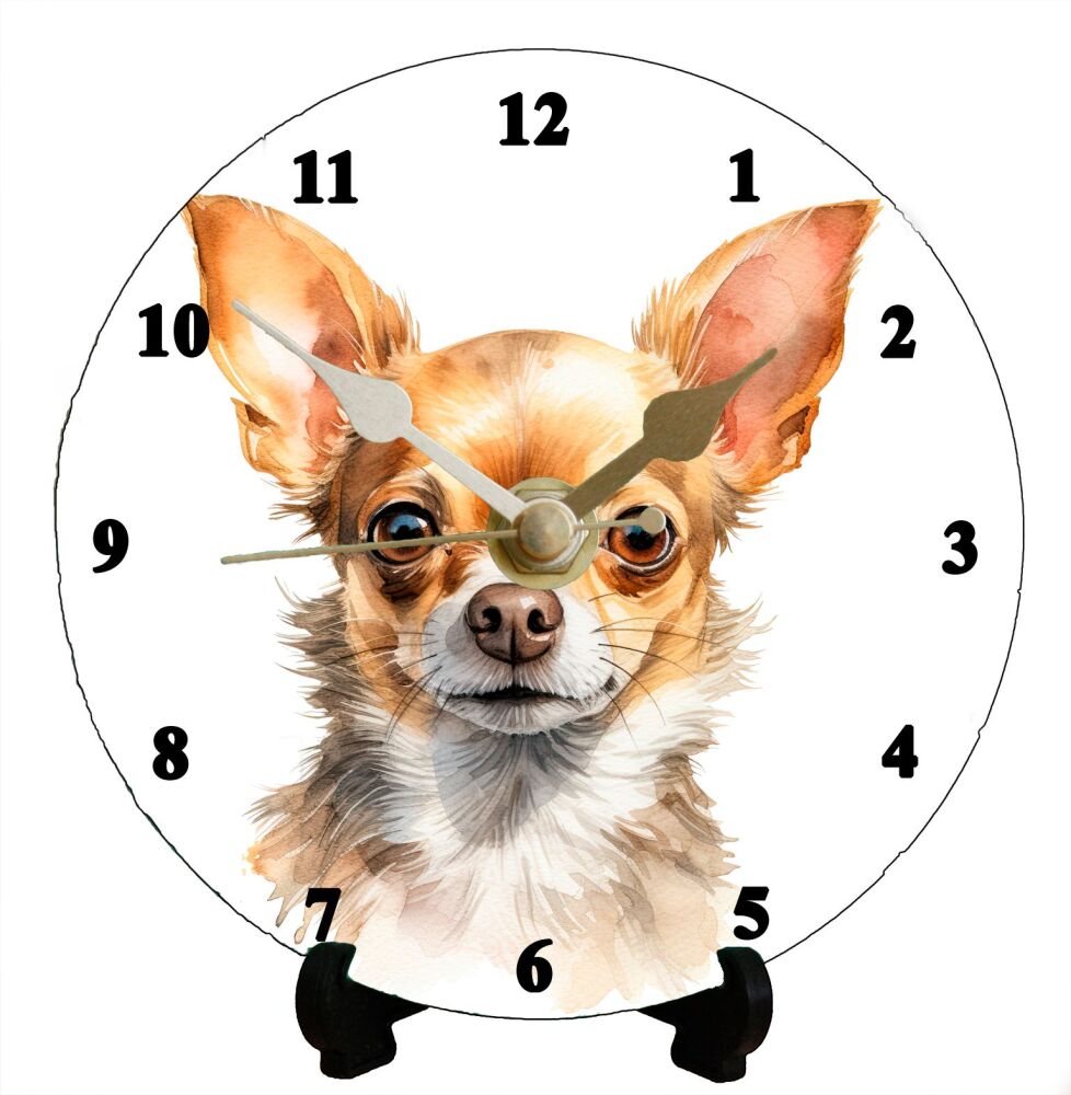 Chihuahua (2)