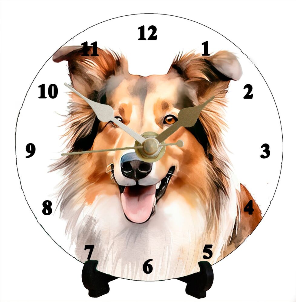 Collie (2)