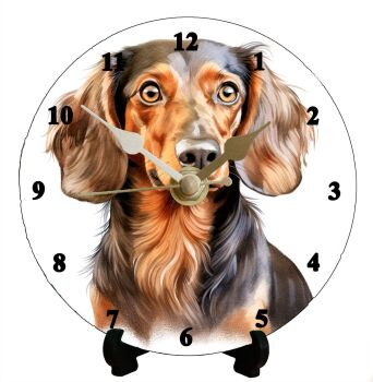 Dachshund (2)