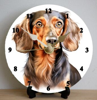 Dachshund (2)
