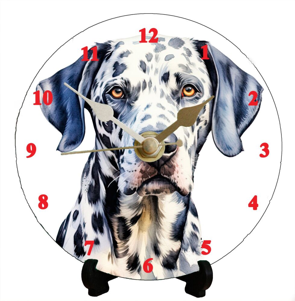 Dalmatian (2)