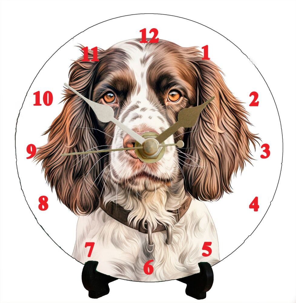 English Springer Spaniel (2)
