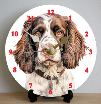 English Springer Spaniel (2)