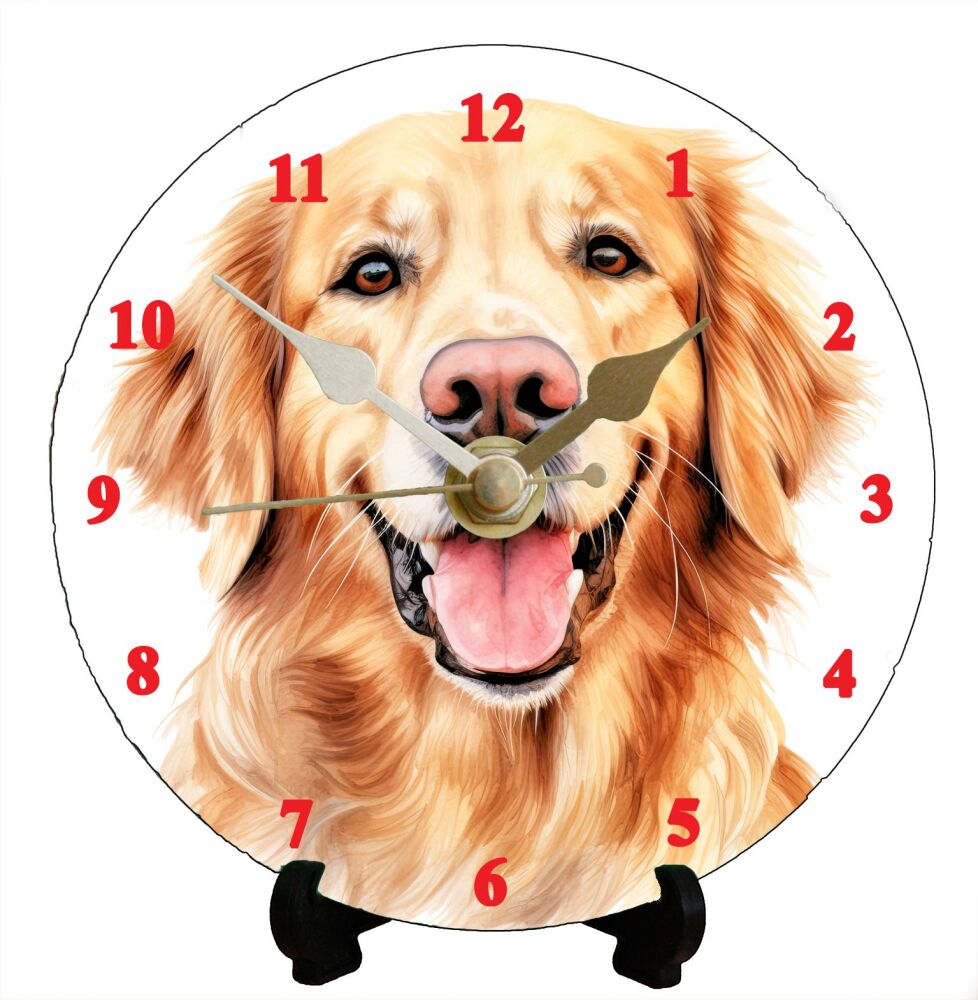 Golden Retriever (2)