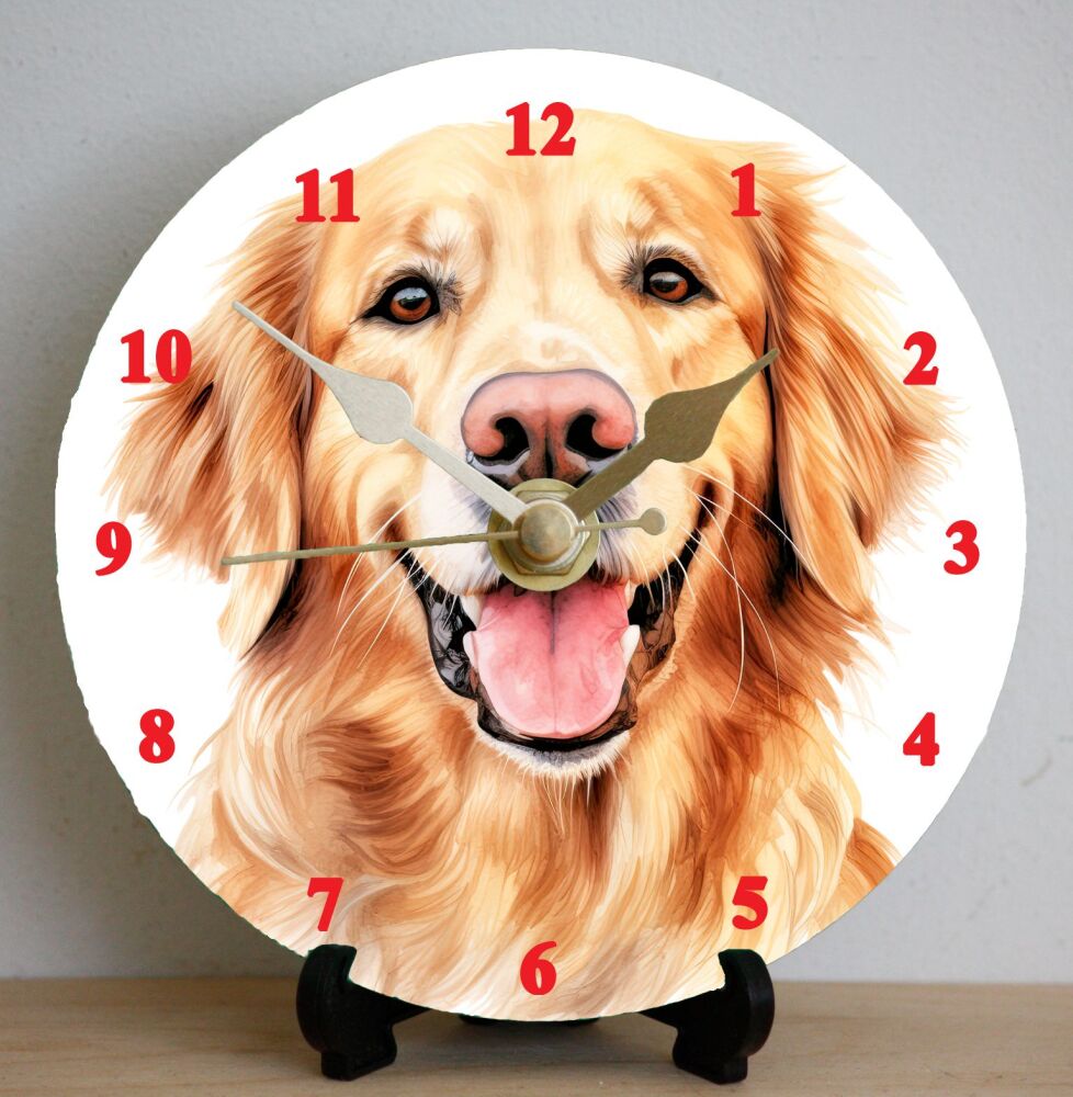 Golden Retriever (2)