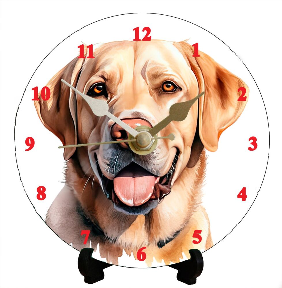 Labrador (2)