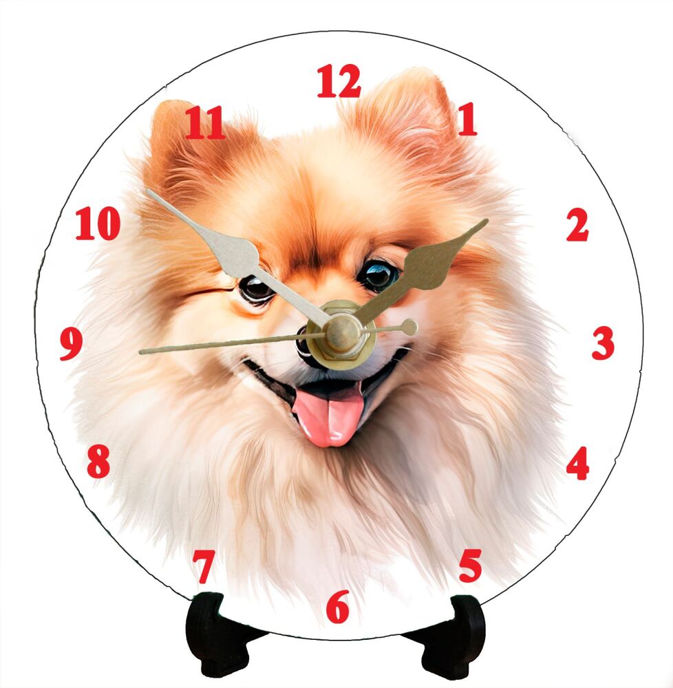 Pomeranian