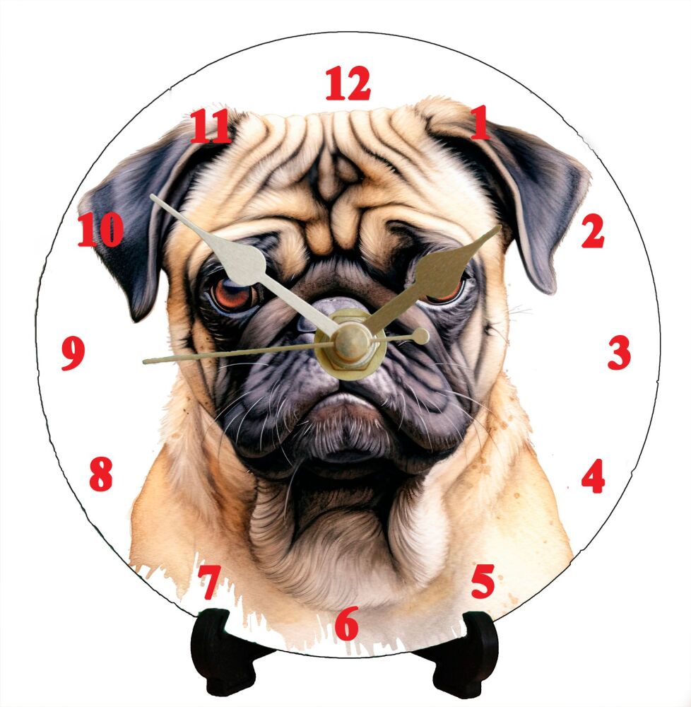 Pug (2)