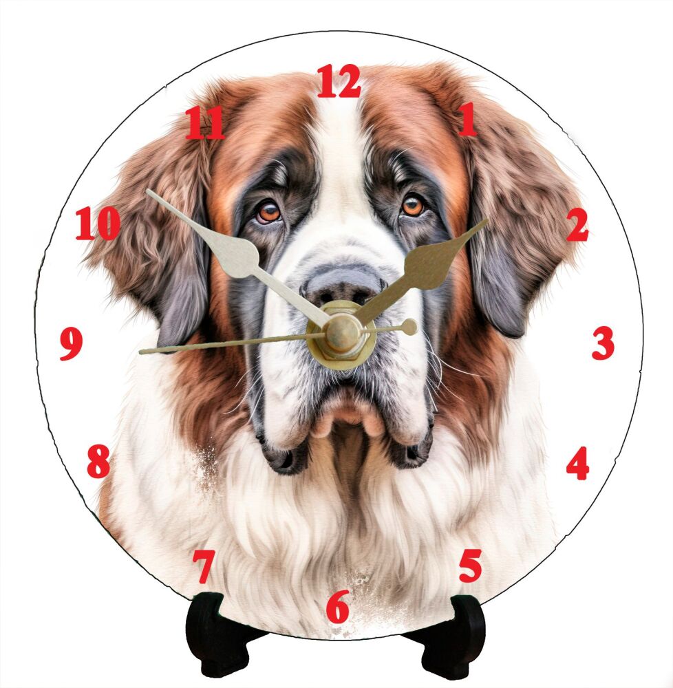 St Bernard (2)