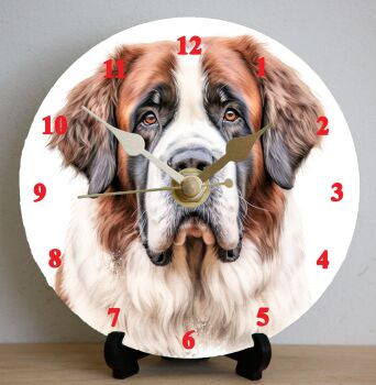 St Bernard (2)