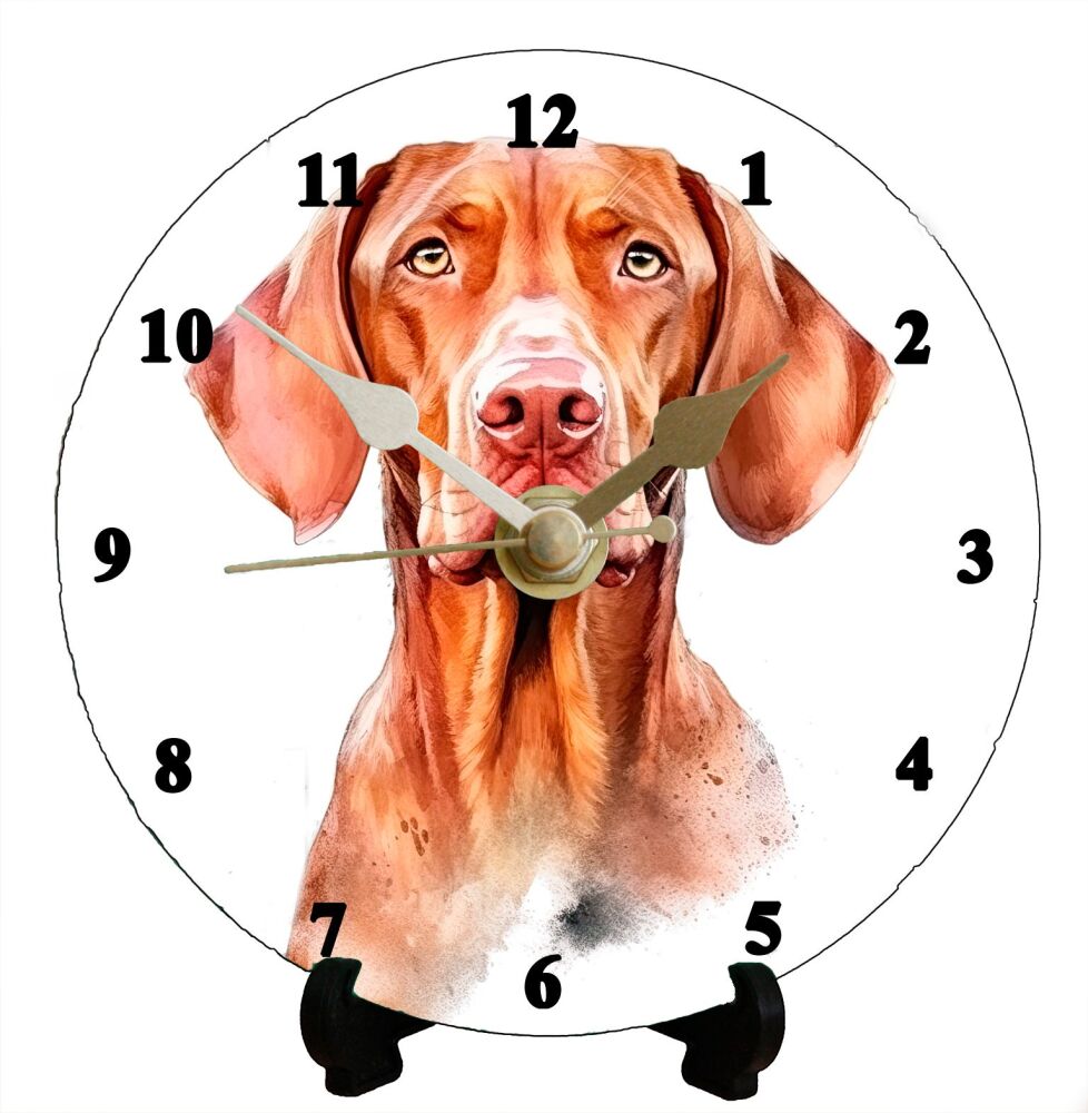 Vizsla (2)