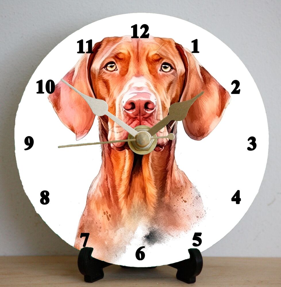 Vizsla (2)