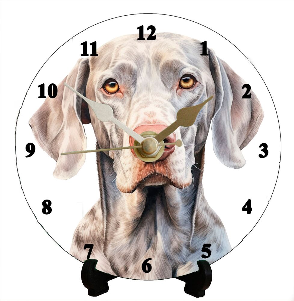 Weimaraner (2)