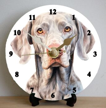 Weimaraner (2)