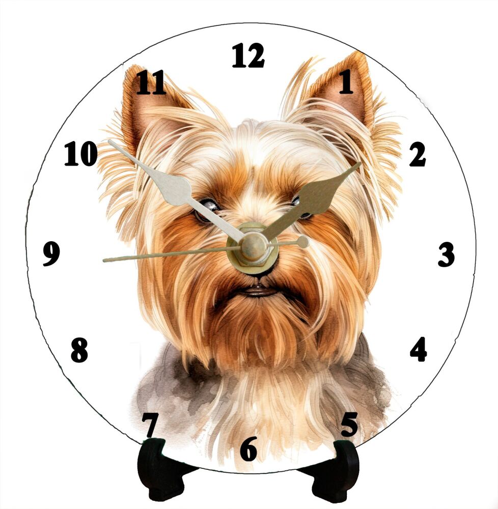 Yorkshire Terrier (2)
