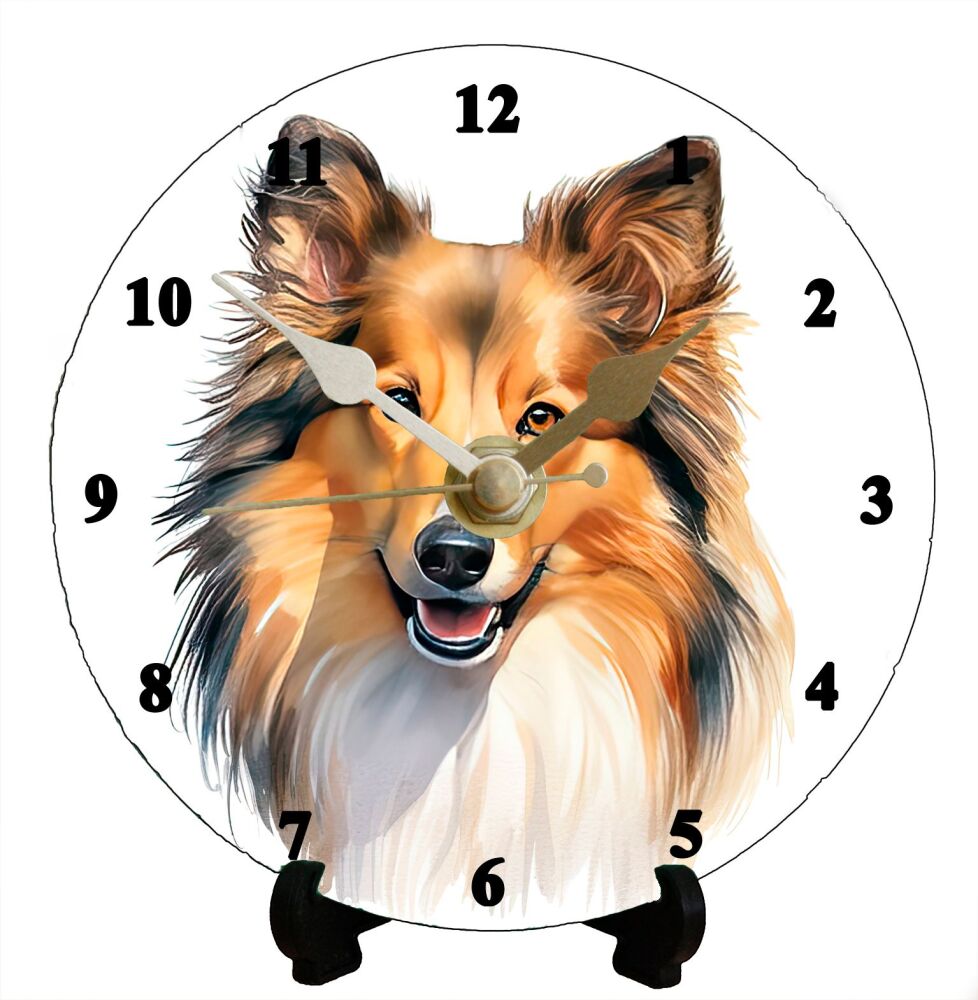 Shetland Sheepdog (2)