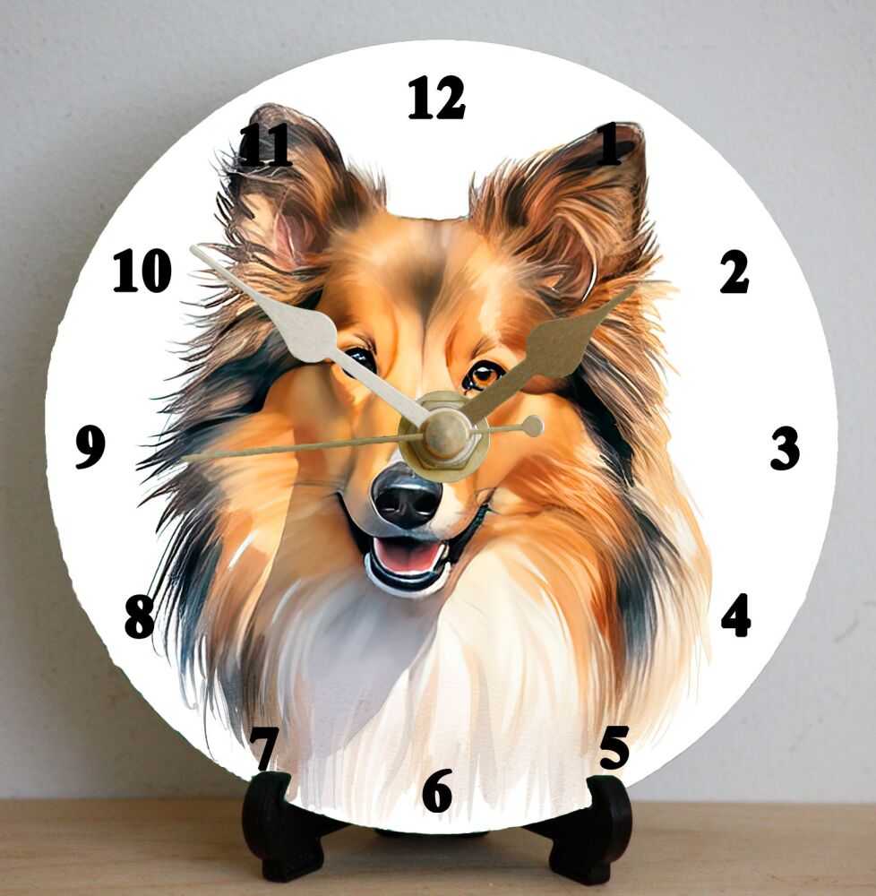 Shetland Sheepdog (2)