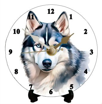 Siberian Husky (2)