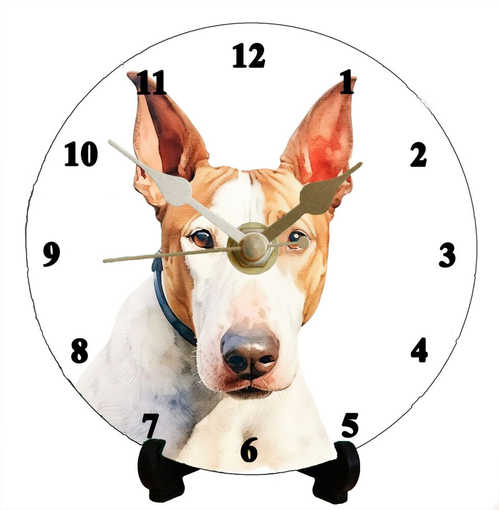 Bull Terrier (2)