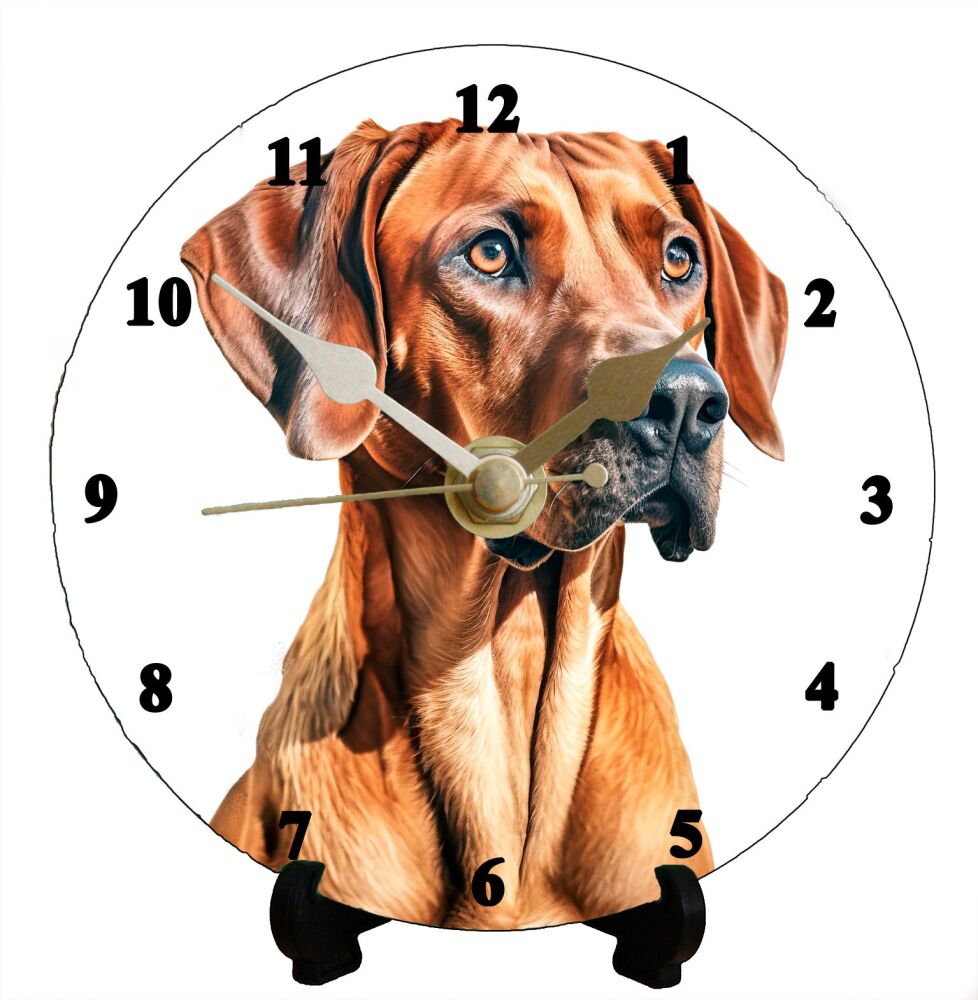 Rhodesian Ridgeback (2)