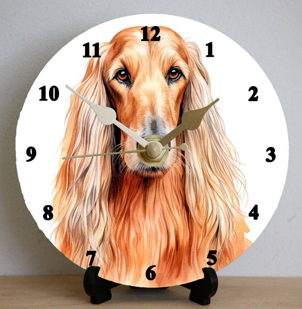 Afghan Hound