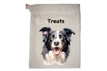 Border Collie (3)