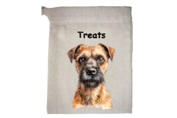 Border Terrier (2)