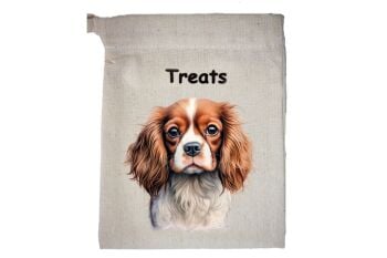 Cavalier King Charles Spaniel (4)