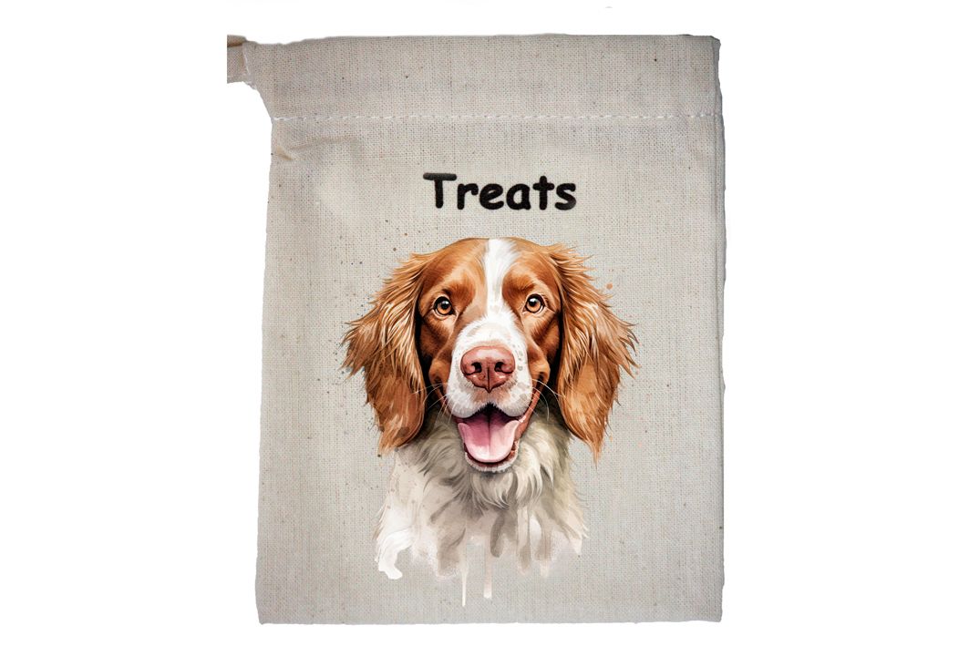 Welsh Springer Spaniel (2)