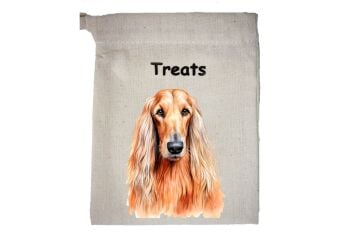 Afghan Hound (2)