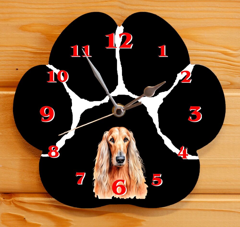 Afghan Hound