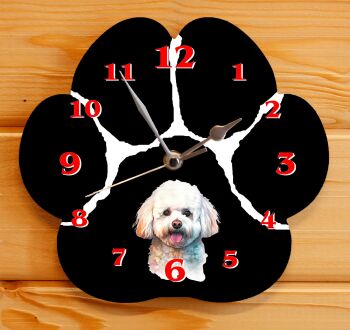 Bichon Frise