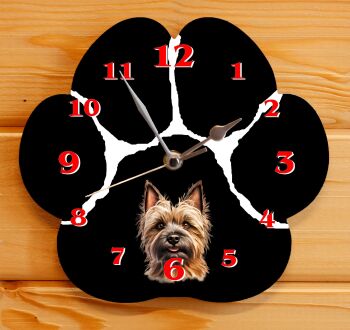 Cairn Terrier