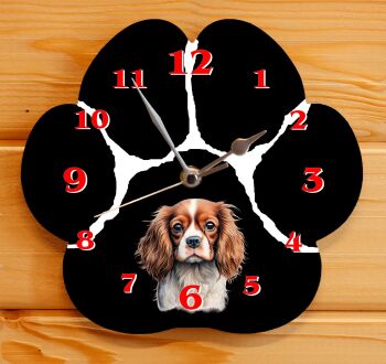 Cavalier King Charles Spaniel