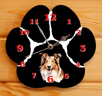 Collie