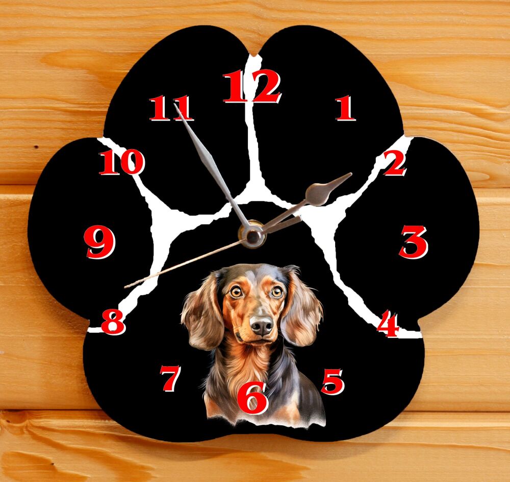 Dachshund