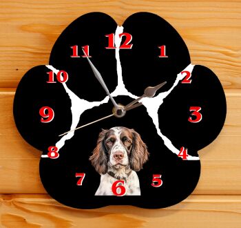 English Springer Spaniel