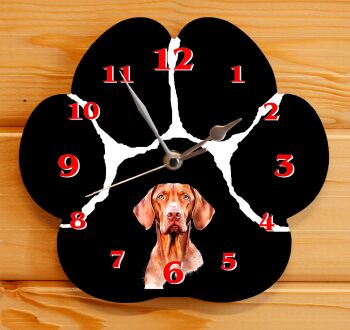 Vizsla
