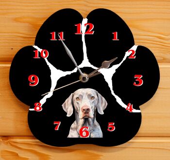 Weimaraner