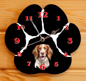 Welsh Springer Spaniel