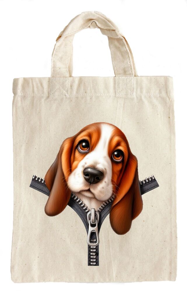 Basset Hound