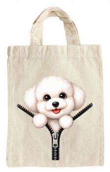 Bichon Frise