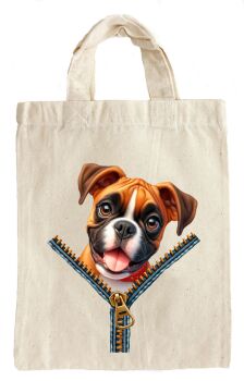 Boxer