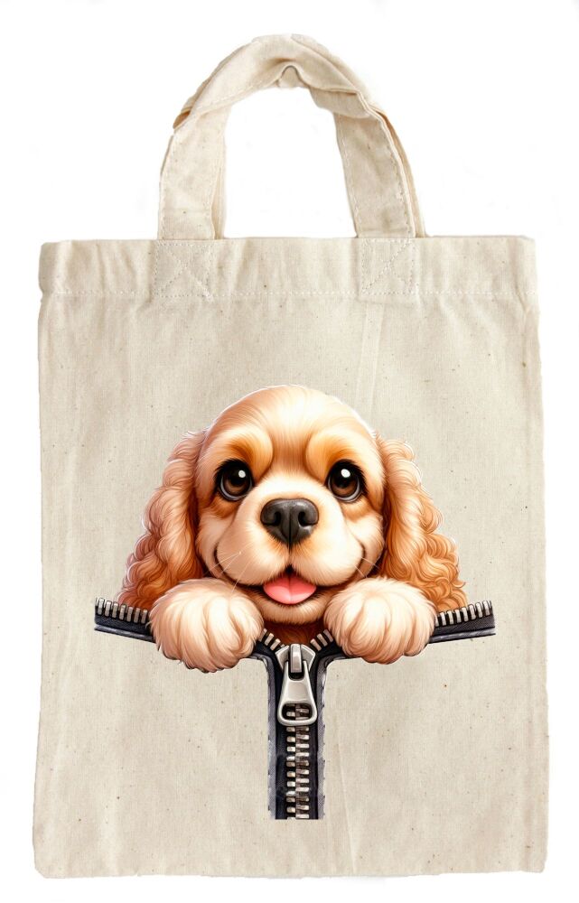 Cavalier King Charles Spaniel