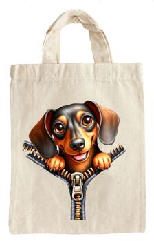 Dachshund