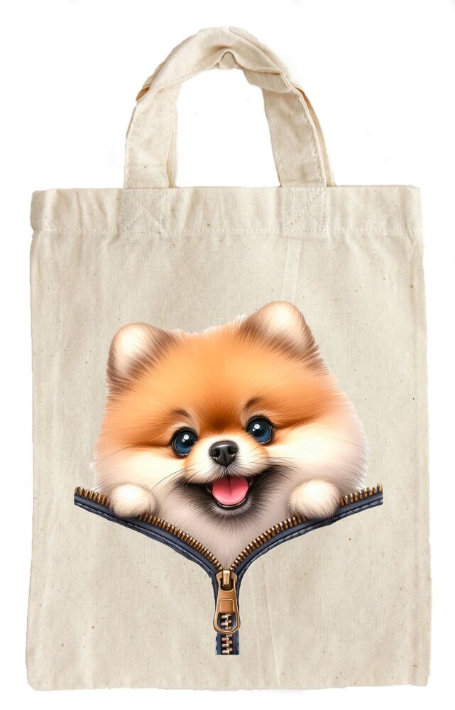 Pomeranian